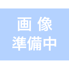 ���ގ������Ď�����