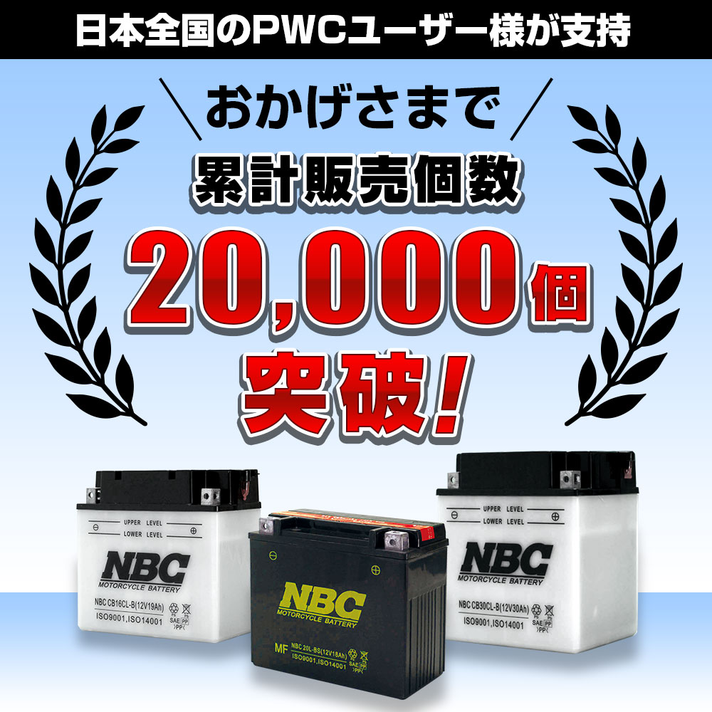 ݌v̔20000˔j