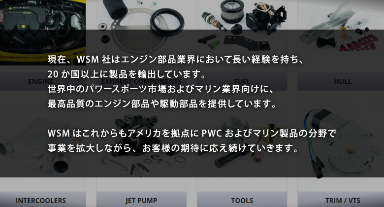 現在、WSM社はエンジン部品業界において長い経験を持ち、20か国以上に製品を輸出しています。