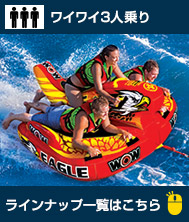 3;
