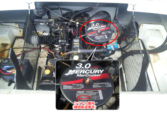 󥸥ɥ饤֡MerCruiser(ޡ롼) 