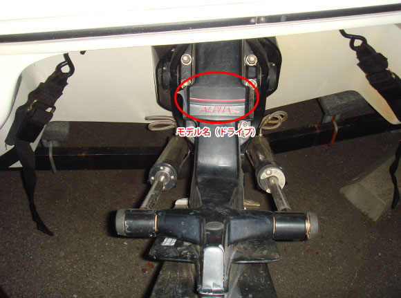 󥸥ɥ饤֡MerCruiser(ޡ롼) ɥ饤