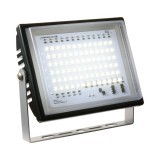 LED ǥå饤WD-1245