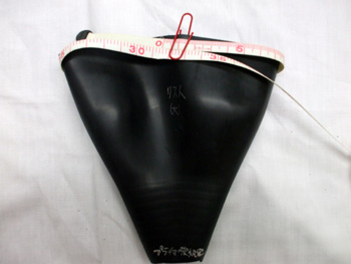リスト取付口径：約30cm